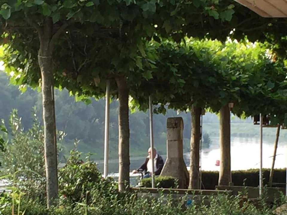 Maas Chalet Aldeneik 马泽克 外观 照片